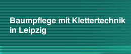  Baumpflege mit Klettertechnik in Leipzig  